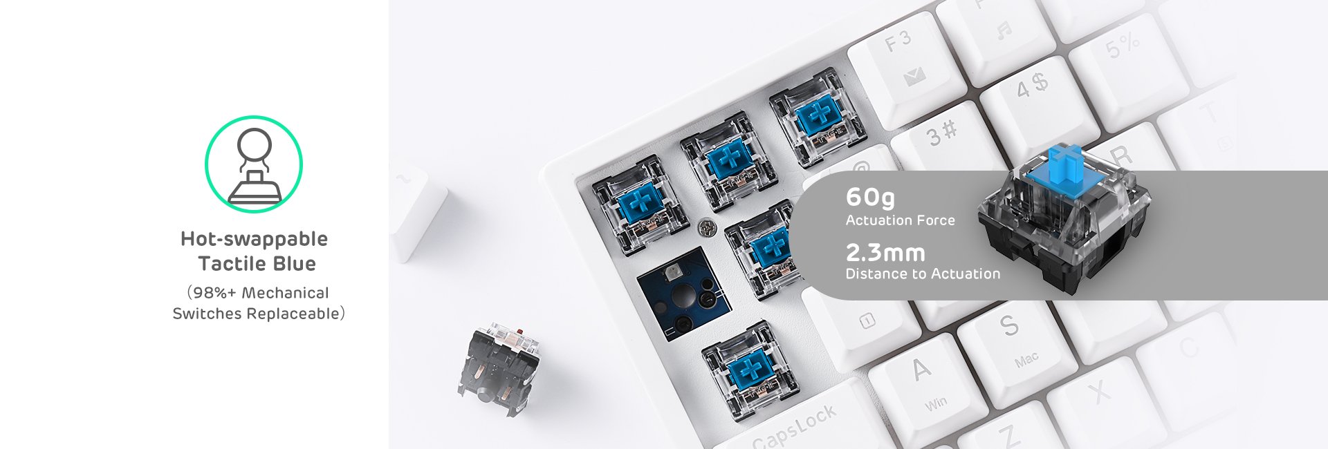 RK ROYAL KLUDGE RK84 Blue Switch